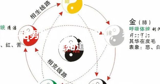 手相男生看哪只手，看手相能知道什么